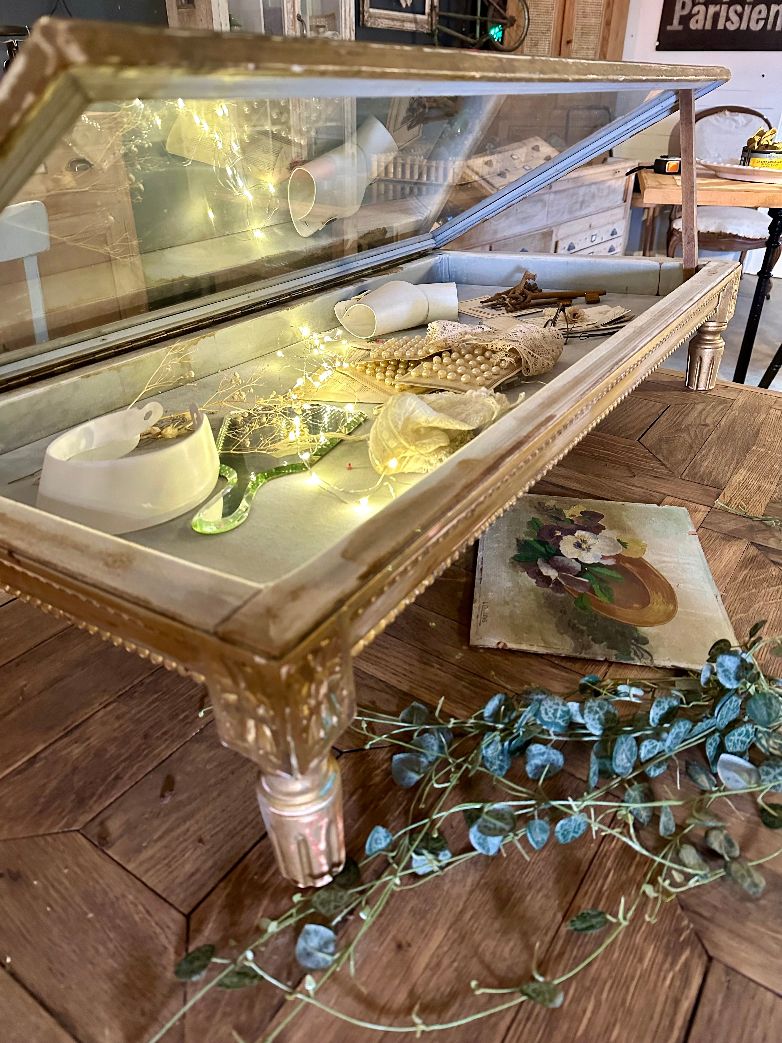 Ancienne vitrine de magasin à poser