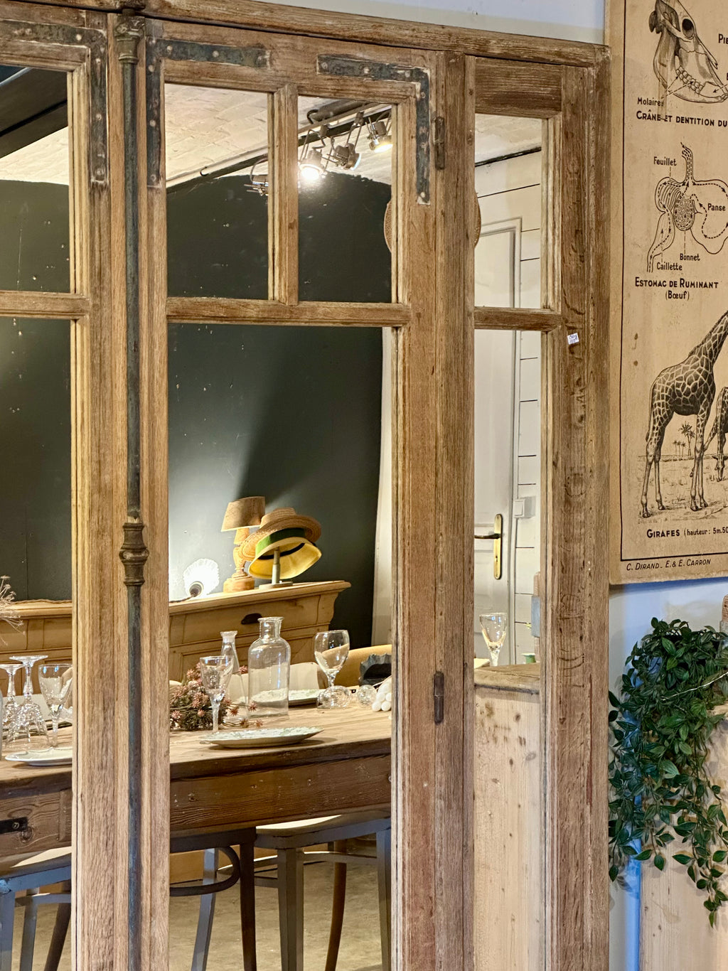 Magnifique miroir chêne