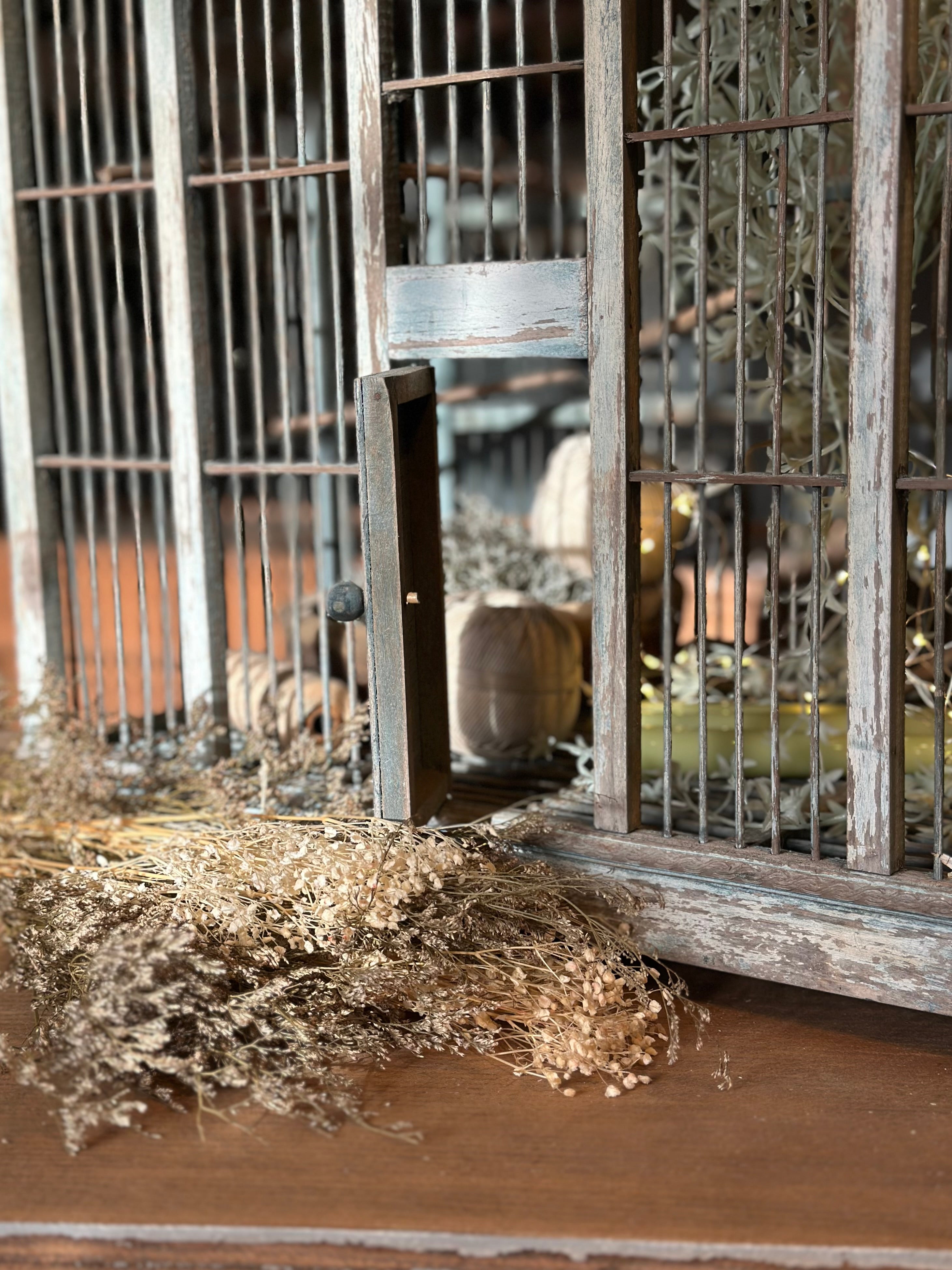 Ancienne cage à oiseaux