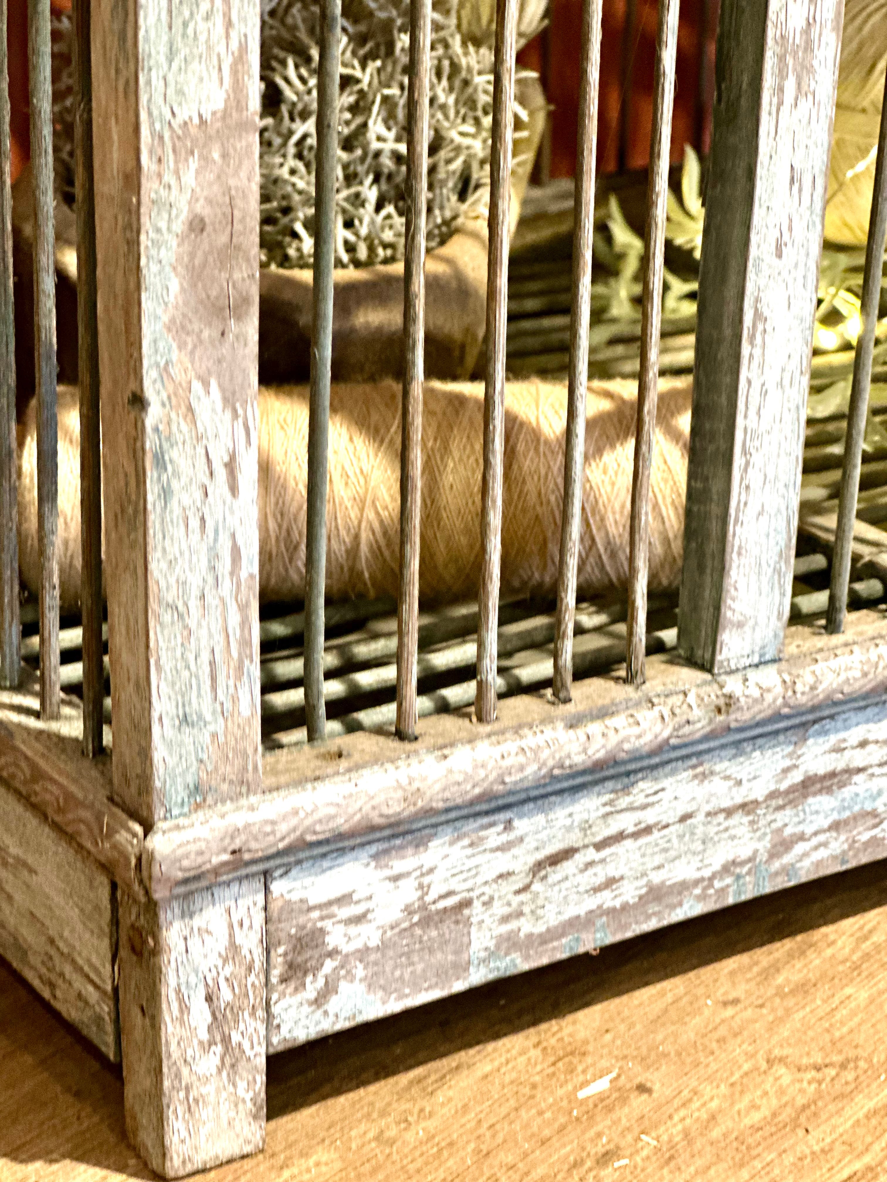 Ancienne cage à oiseaux
