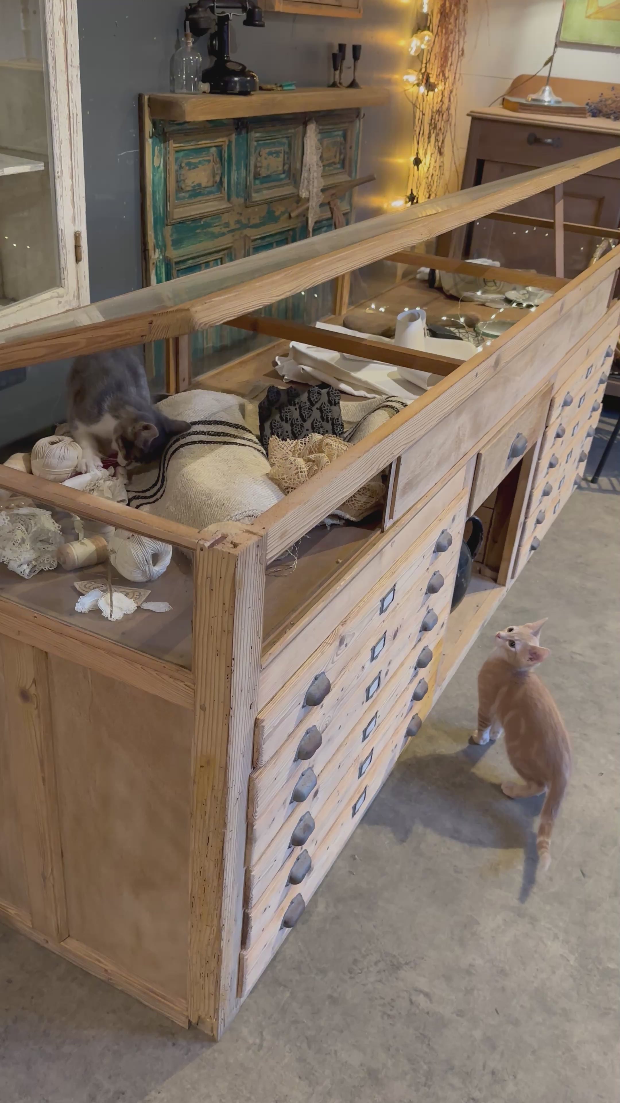 Ancien meuble de commerce vitrine en sapin brut – Pièce unique